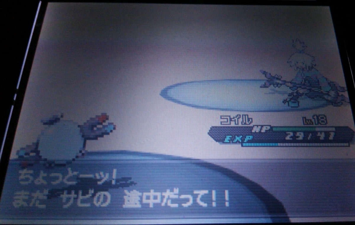ポケモンbw2 ハルヤのポケモン日記3rd 5日目 Vsホミカ ハルヤのゲームブログ
