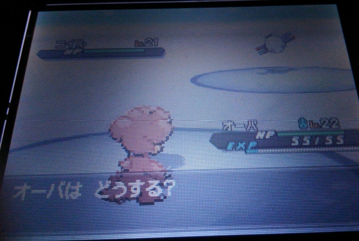 f:id:haruya3:20210119113036j:plain