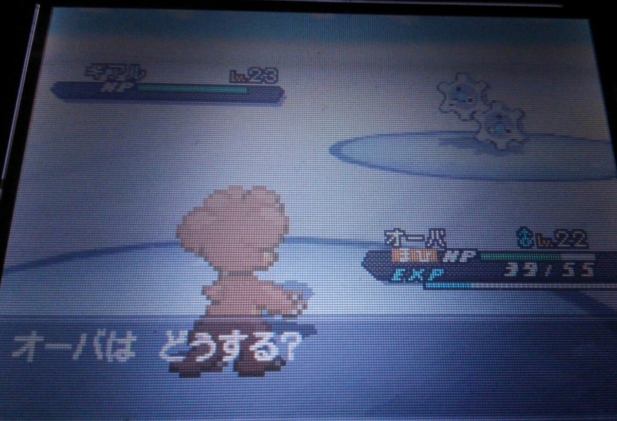 f:id:haruya3:20210119113133j:plain