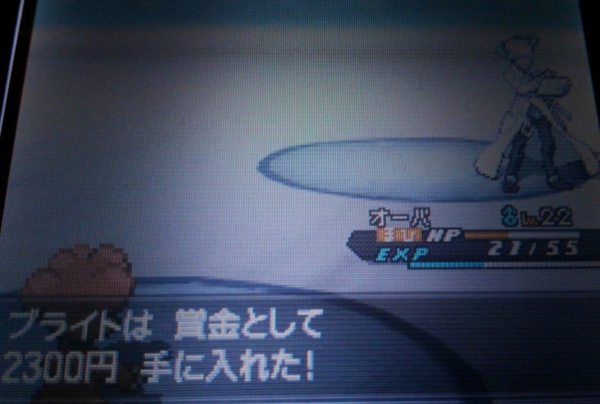 f:id:haruya3:20210119113228j:plain