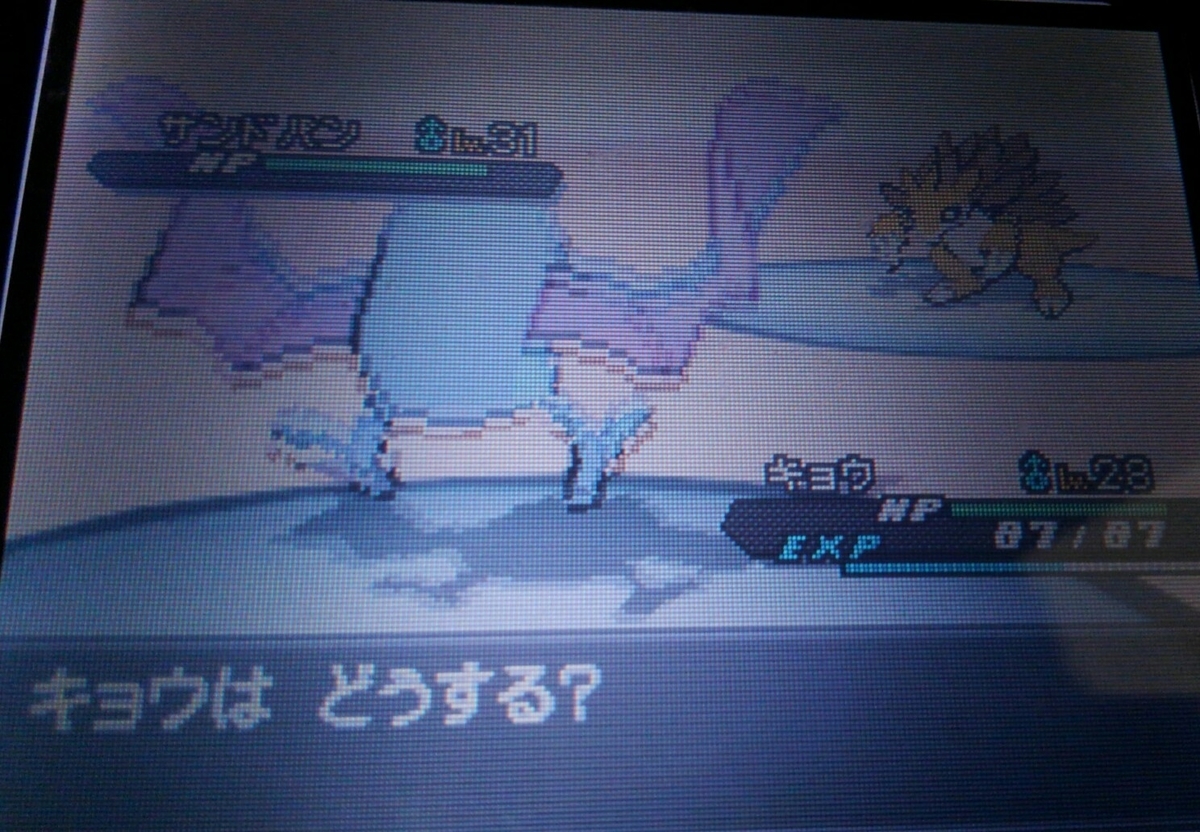 ポケモンbw2 ハルヤのポケモン日記3rd 10日目 Vsヤーコン ハルヤの雑記ブログ
