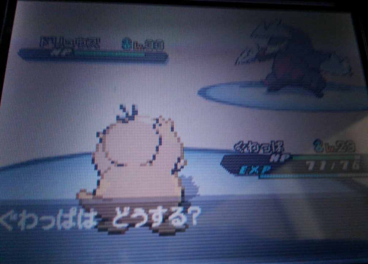 ポケモンbw2 ハルヤのポケモン日記3rd 10日目 Vsヤーコン ハルヤの雑記ブログ