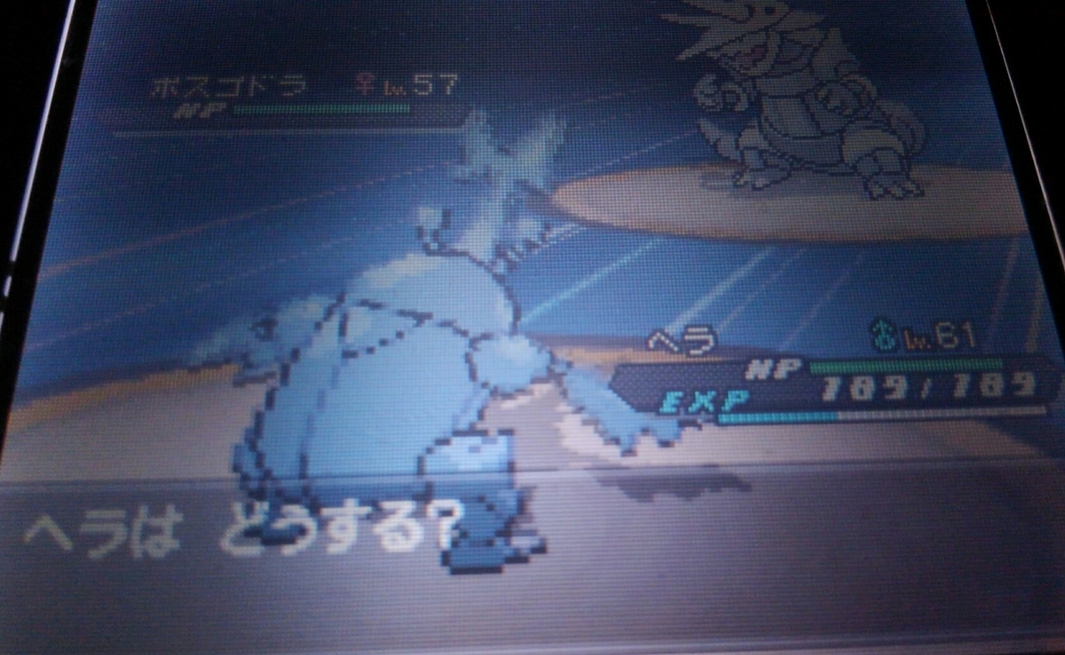 f:id:haruya3:20210126132213j:plain