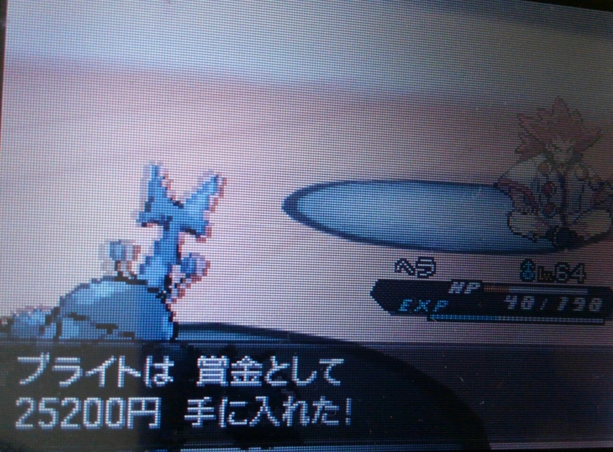 f:id:haruya3:20210129183623j:plain