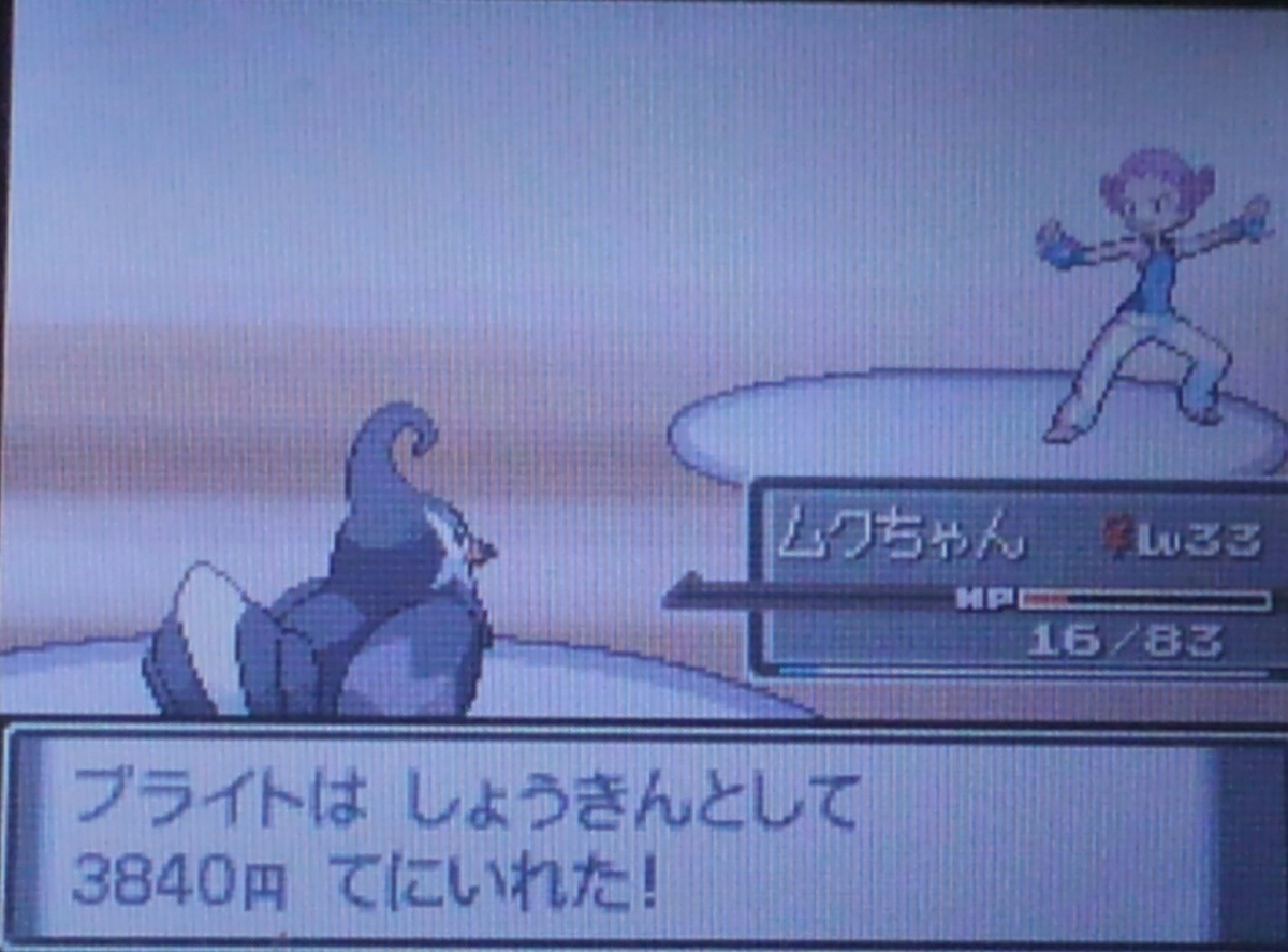 ポケモンプラチナ ハルヤのポケモン日記4th 5日目 Vsスモモ ハルヤのゲームブログ