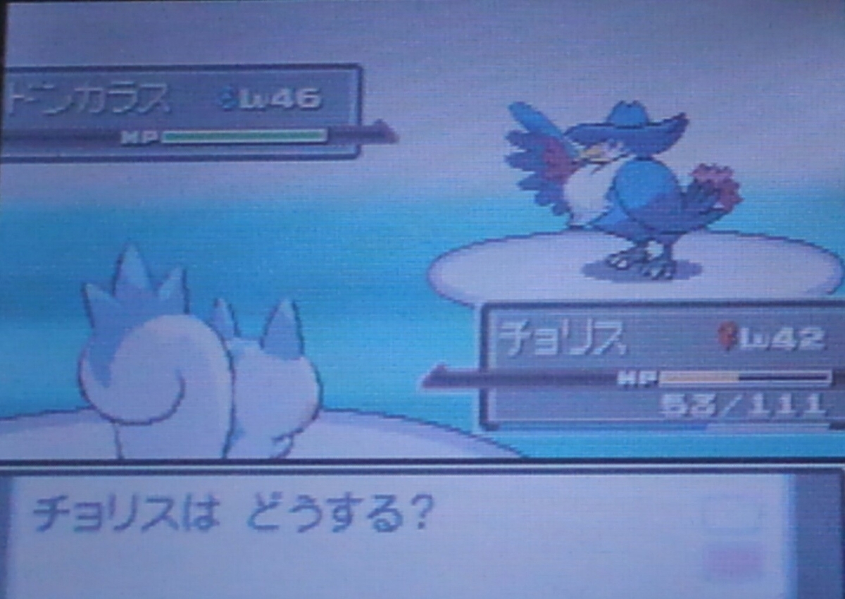 ポケモンプラチナ ハルヤのポケモン日記4th 13日目 Vsアカギ ハルヤのゲームブログ