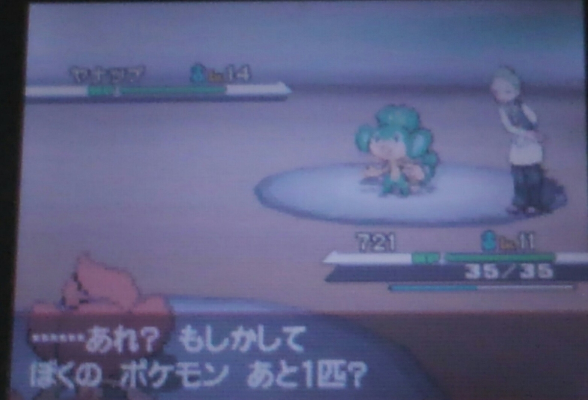 ポケモンbw ハルヤのポケモン日記5th 2日目 Vsデント ハルヤの雑記ブログ