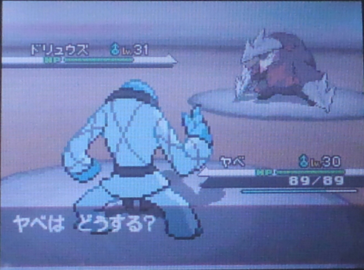 ポケモンbw ハルヤのポケモン日記5th 7日目 Vsヤーコン ハルヤの雑記ブログ
