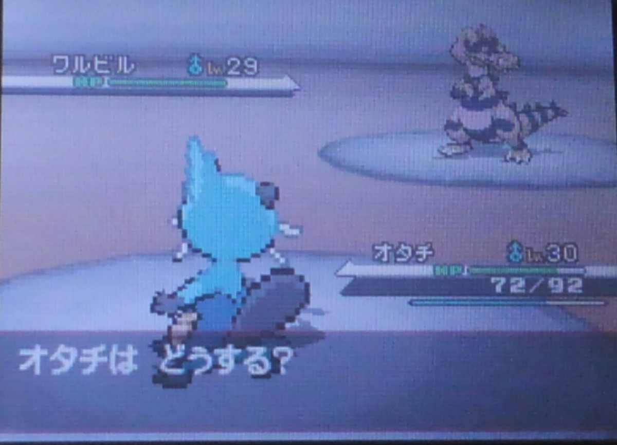 ポケモンbw ハルヤのポケモン日記5th 7日目 Vsヤーコン ハルヤの雑記ブログ