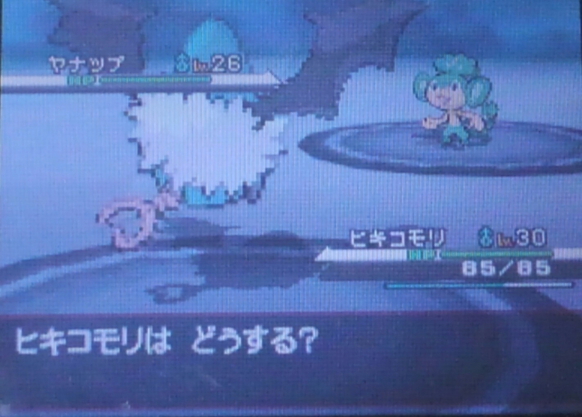 ポケモンbw ハルヤのポケモン日記5th 8日目 Vsベル ハルヤのゲームブログ