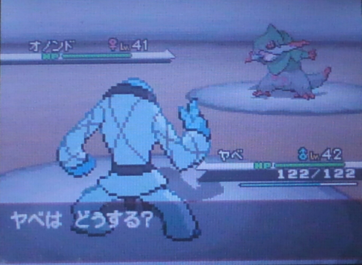 ポケモンbw ハルヤのポケモン日記5th 13日目 Vsアイリス ハルヤの雑記ブログ