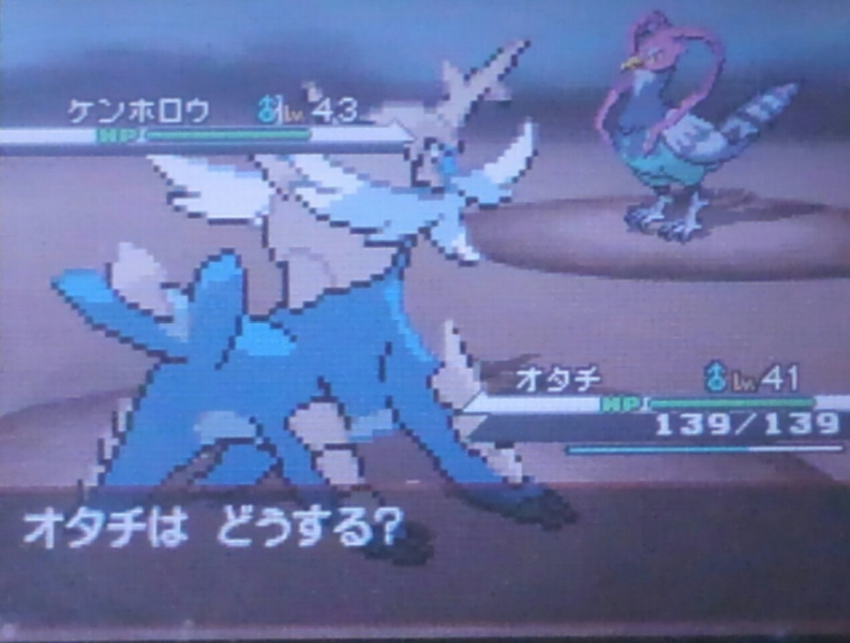 ポケモンbw ハルヤのポケモン日記5th 14日目 Vsチェレン ハルヤの雑記ブログ