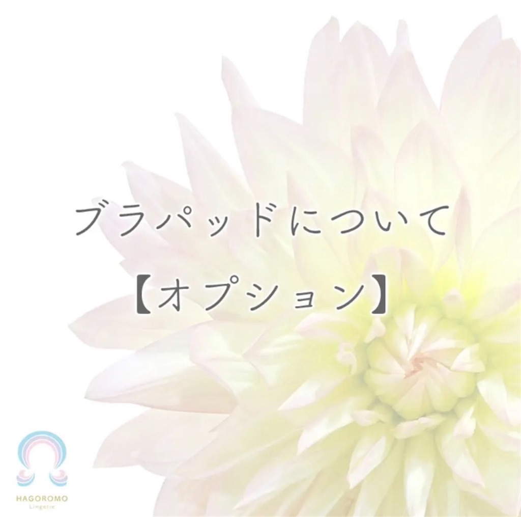 f:id:haruyo11:20240224171047j:image f:id:haruyo11:20240224171047j:image