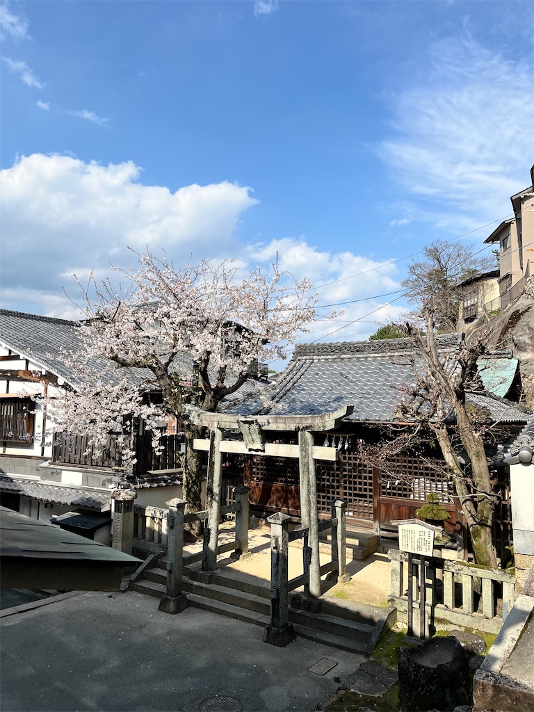 f:id:haruyo11:20250407084323j:image f:id:haruyo11:20250407084323j:image