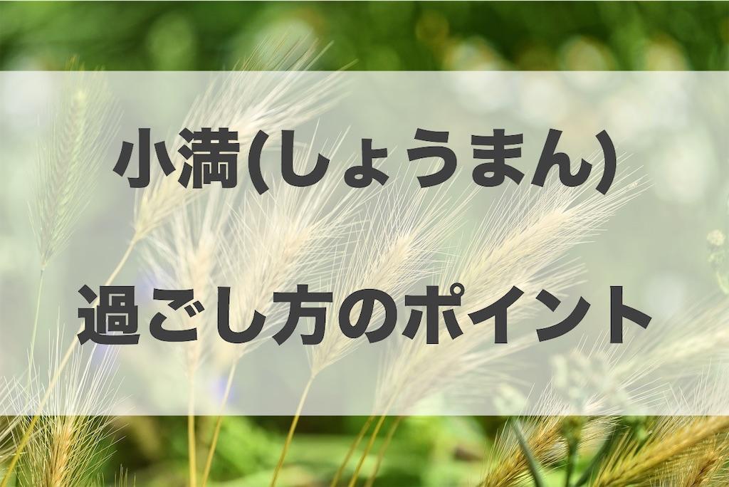 f:id:haruyui_rie:20200519175153j:image