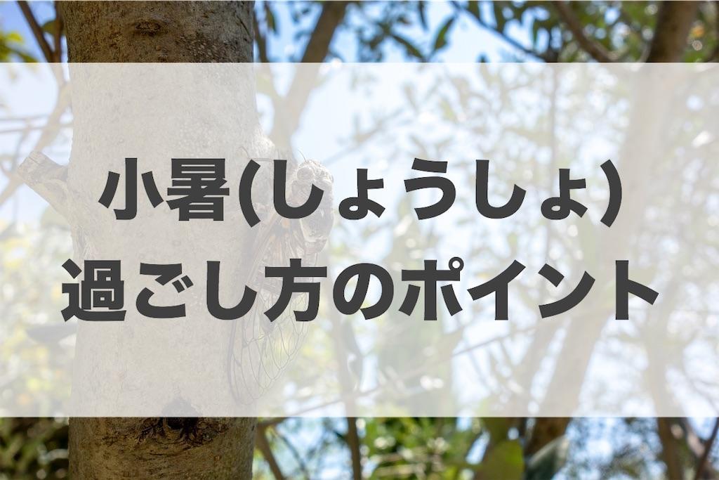 f:id:haruyui_rie:20200707135825j:image