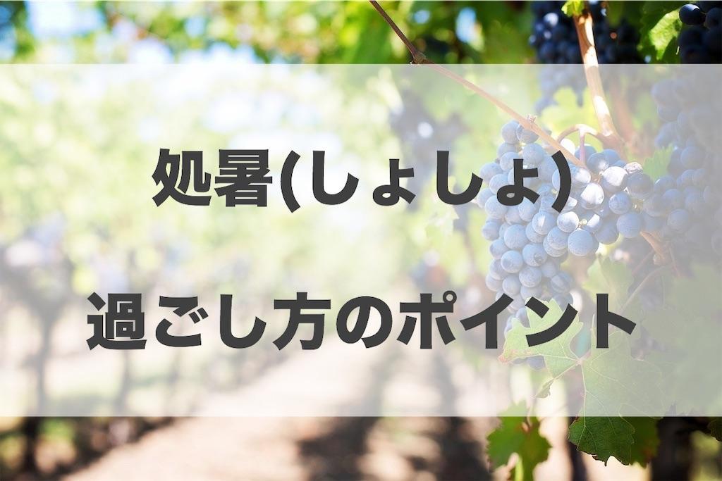 f:id:haruyui_rie:20200824091351j:image