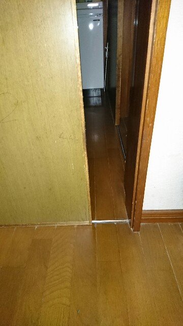 f:id:haruyukawata:20190204194201j:image