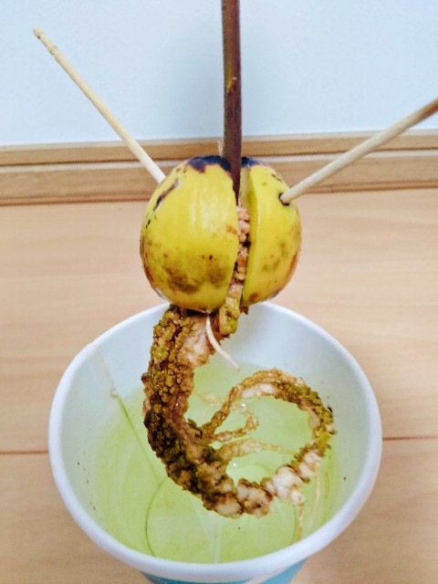 f:id:haruyutakablog:20230824201530j:image