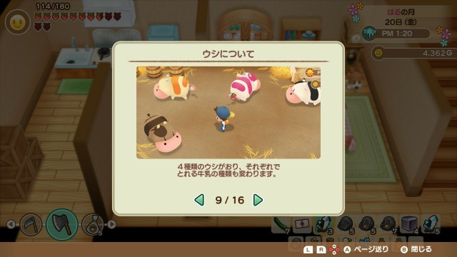 f:id:harvest-moon:20191231003017j:image