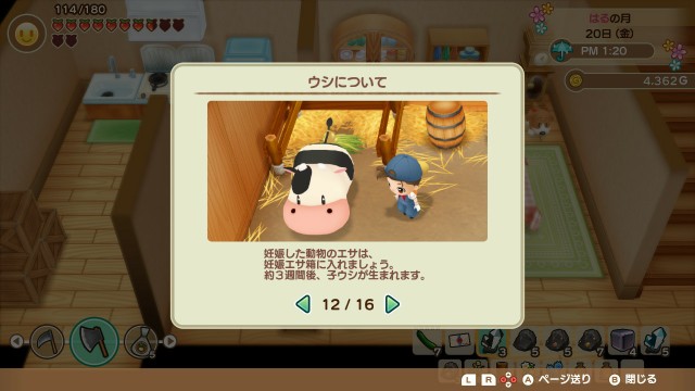 f:id:harvest-moon:20191231003114j:image