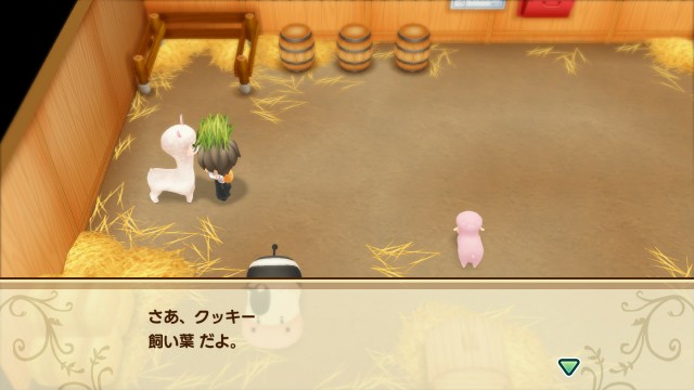 f:id:harvest-moon:20191231004102j:image