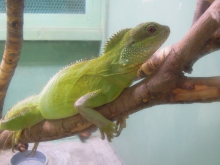 f:id:harvester:20110506032121j:image f:id:harvester:20110506032121j:image