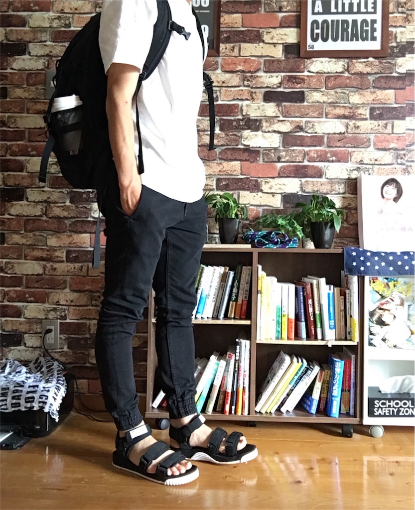 f:id:hasaming:20180615153829j:image
