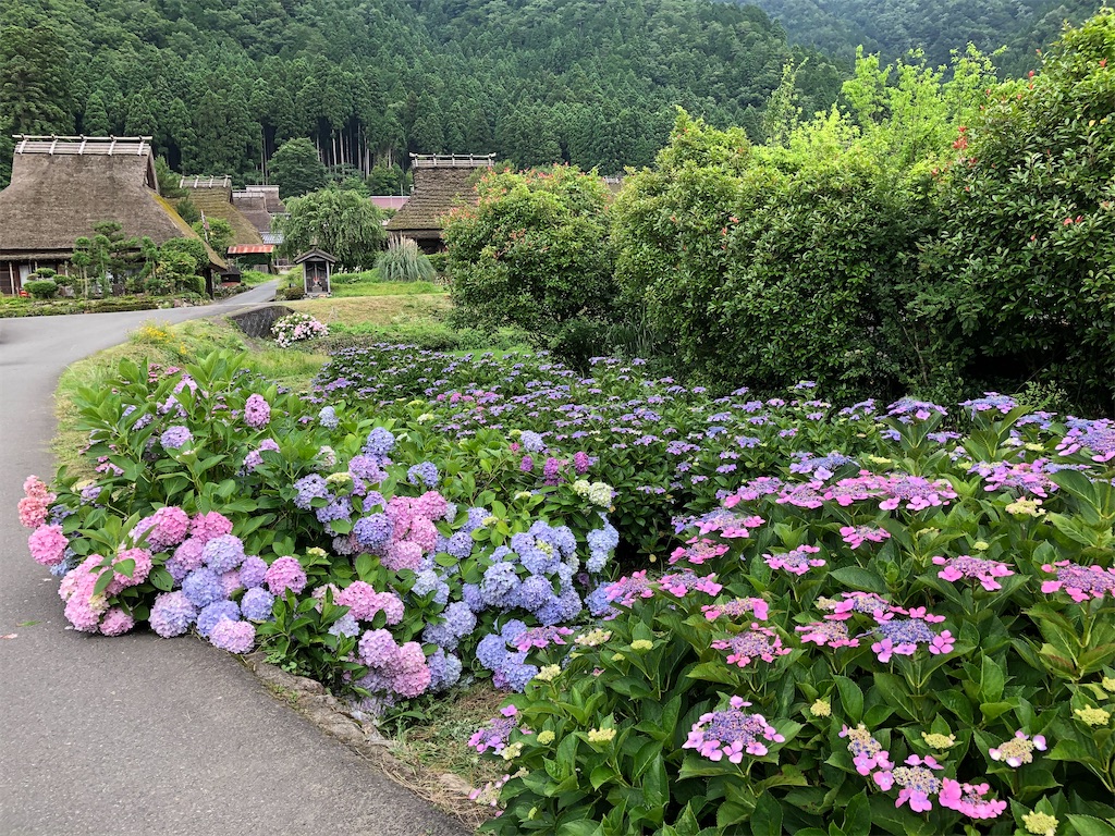 f:id:haschan:20200705211756j:image