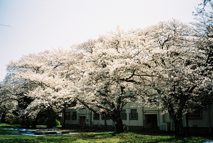 f:id:hasco:20120412235140j:image f:id:hasco:20120412235140j:image