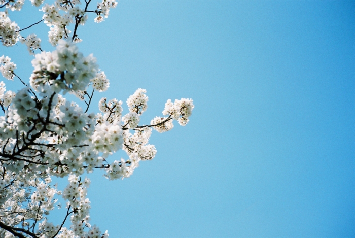 f:id:hasco:20120412235141j:image f:id:hasco:20120412235141j:image