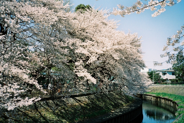 f:id:hasco:20120412235142j:image f:id:hasco:20120412235142j:image