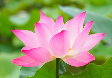 f:id:hase-1000chan:20201119071912j:plain