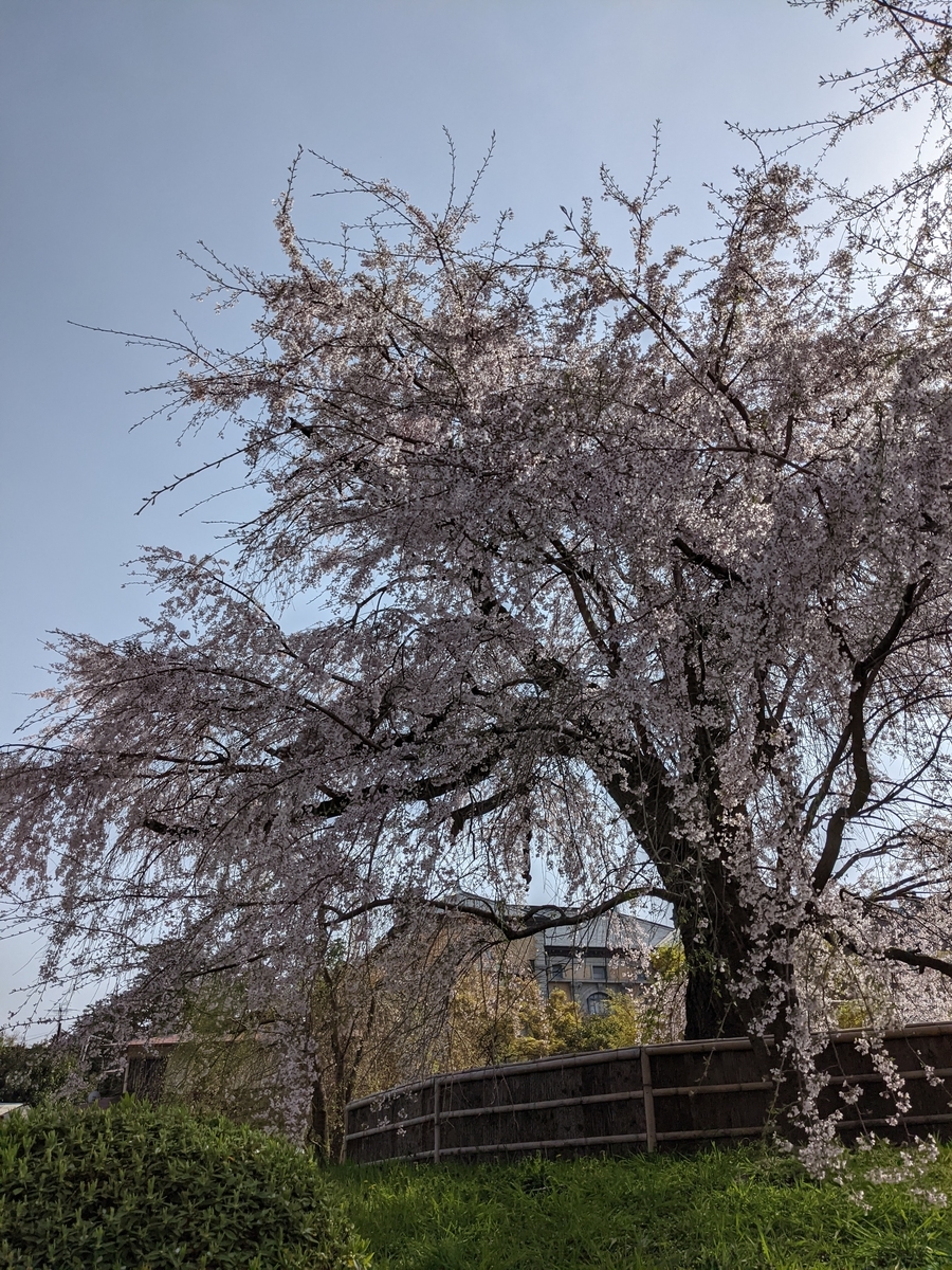 f:id:hase-kei:20210331164431j:plain