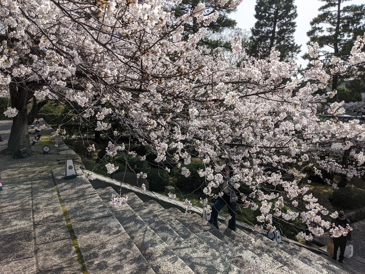 f:id:hase-kei:20210331233420j:plain