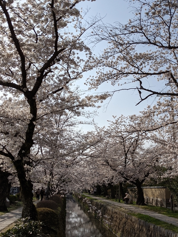 f:id:hase-kei:20210401132730j:plain