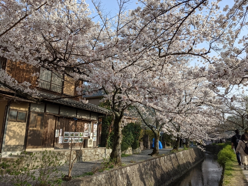 f:id:hase-kei:20210401132752j:plain