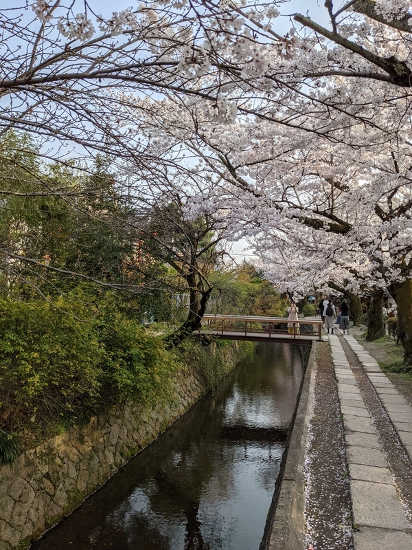 f:id:hase-kei:20210401132834j:plain