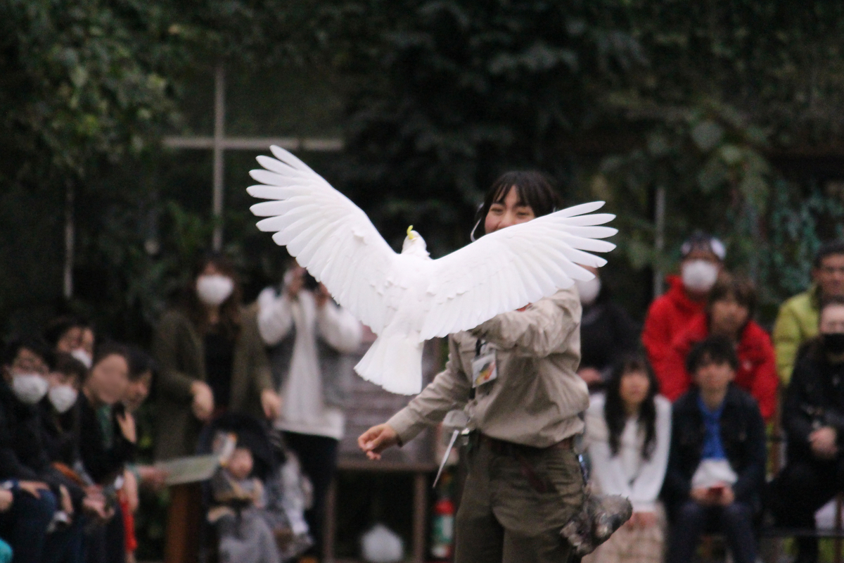 f:id:hase2:20200402030531j:plain f:id:hase2:20200402030531j:plain