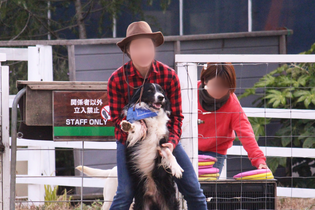 f:id:hase2:20200402041919j:plain