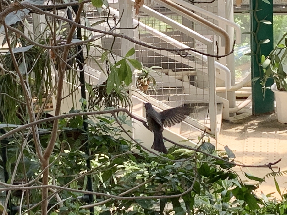 f:id:hase2:20200409051315j:plain f:id:hase2:20200409051315j:plain