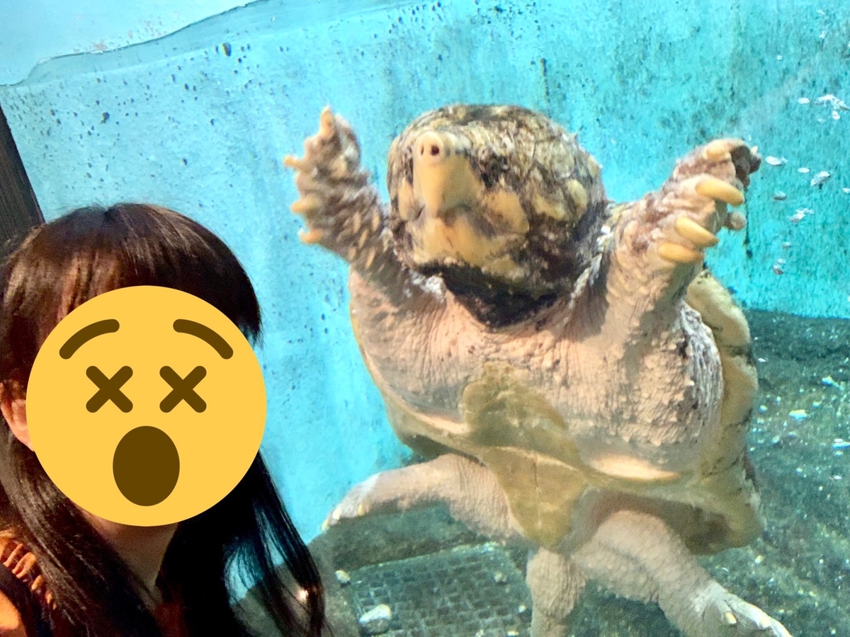 f:id:hase2:20200430212751j:plain