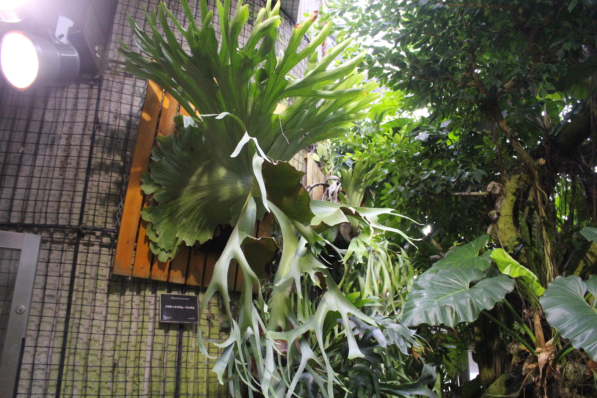 f:id:hase2:20200430223516j:plain f:id:hase2:20200430223516j:plain