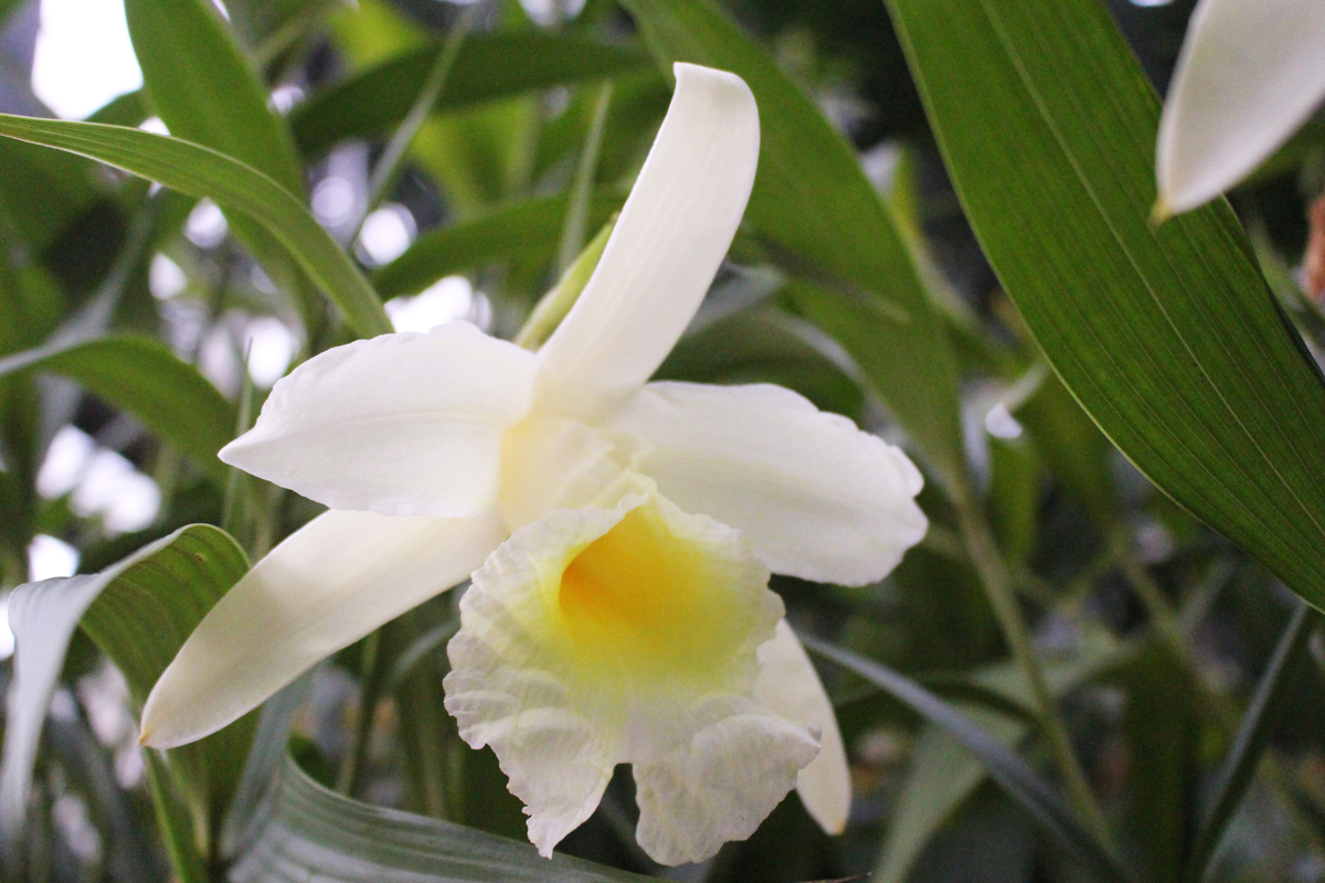 f:id:hase2:20200430230250j:plain f:id:hase2:20200430230250j:plain