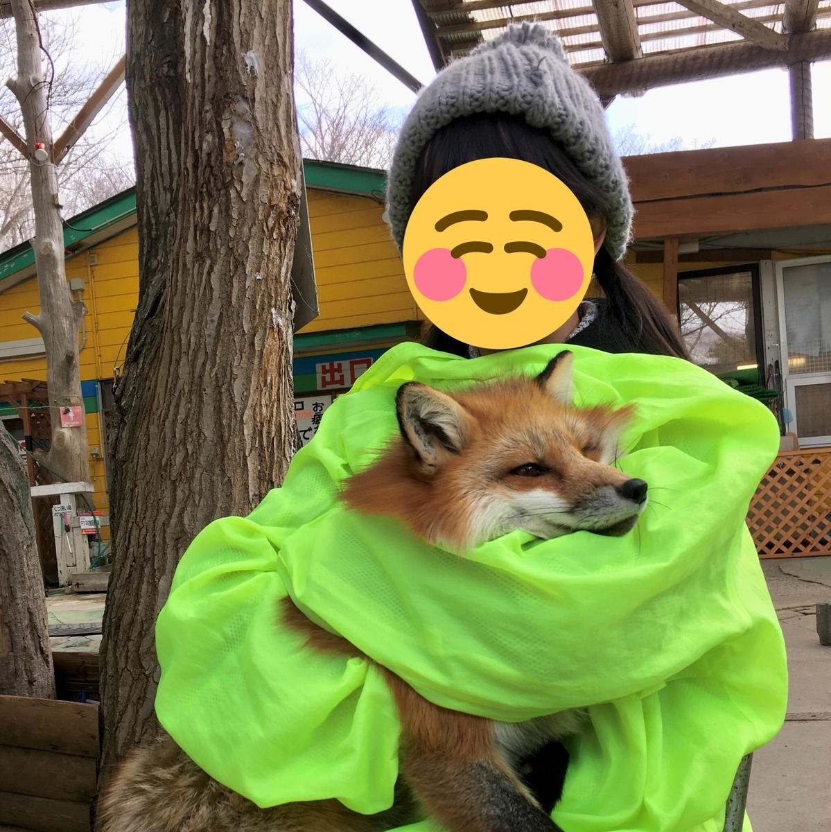 f:id:hase2:20200605003750j:plain