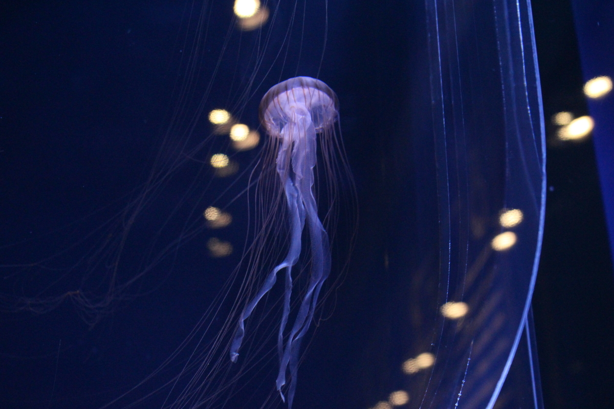 f:id:hase2:20200612025530j:plain