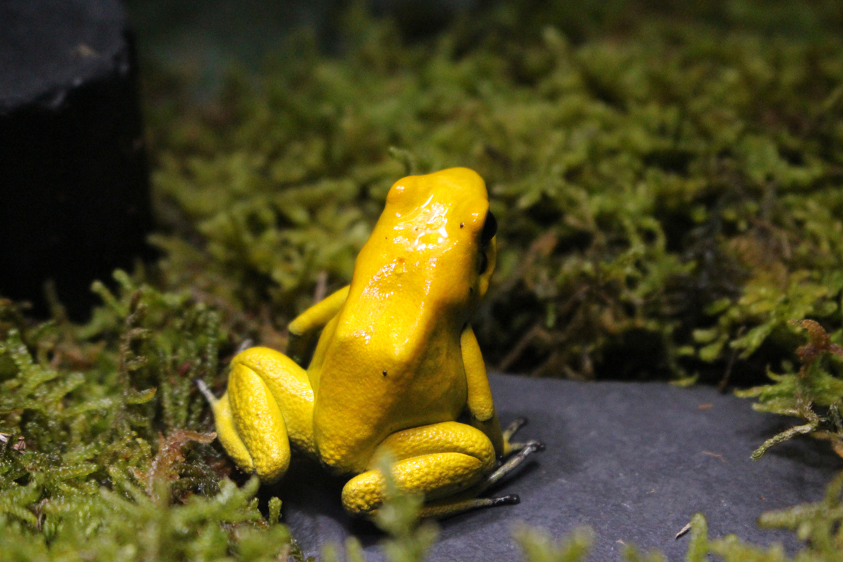 f:id:hase2:20200617222844j:plain f:id:hase2:20200617222844j:plain