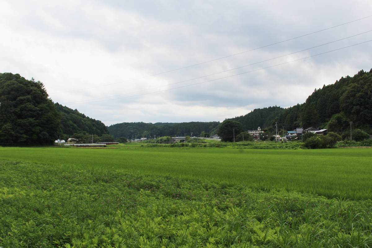 f:id:hase2:20200727012628j:plain f:id:hase2:20200727012628j:plain