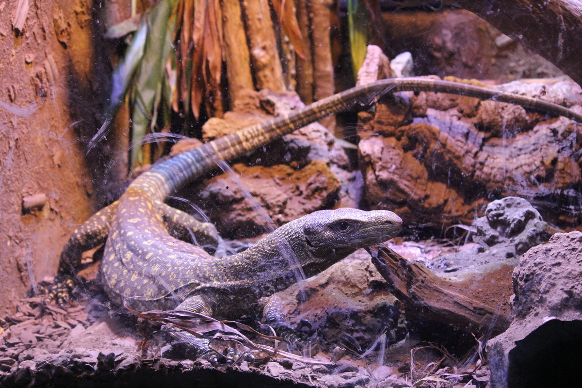 f:id:hase2:20200814222836j:plain