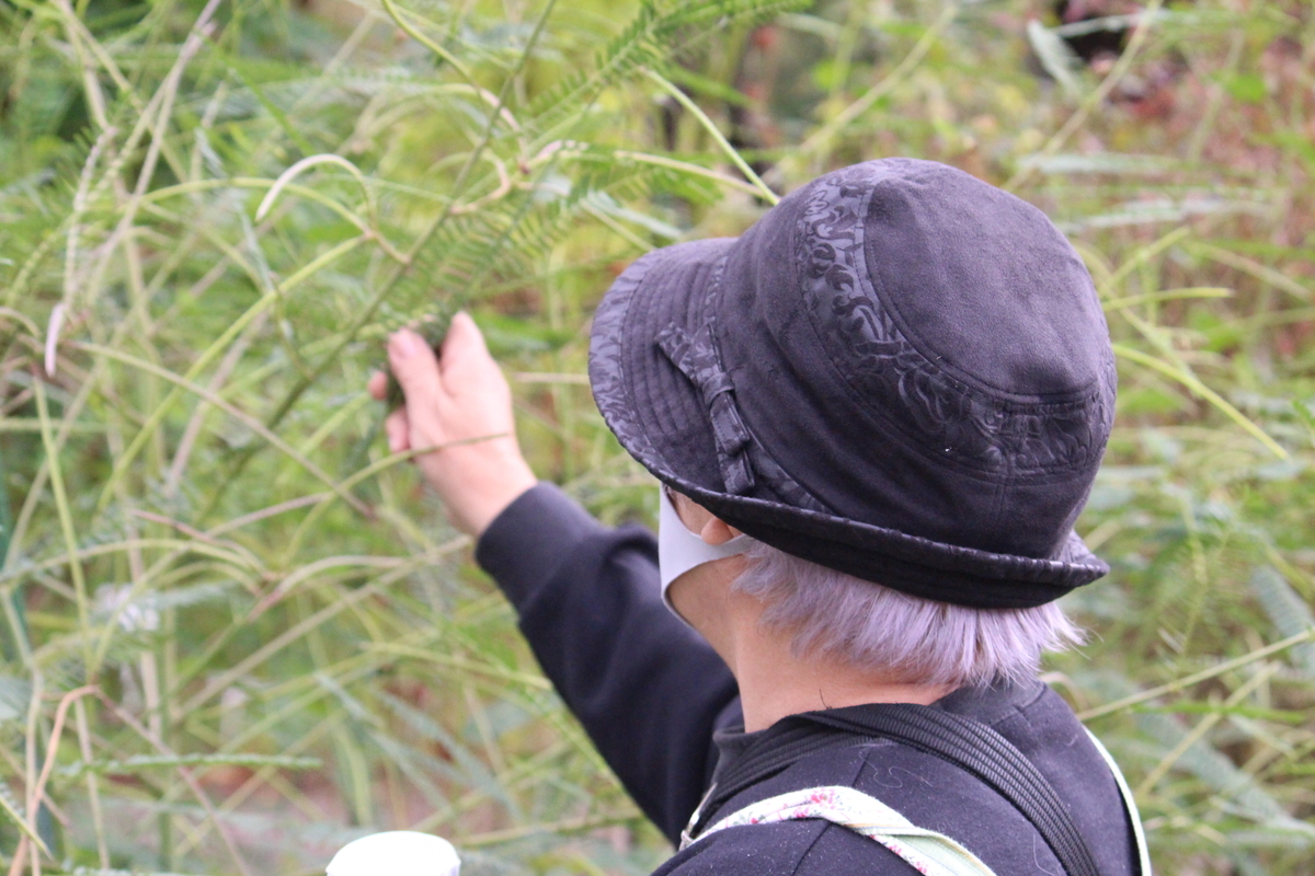 f:id:hase2:20201024225622j:plain
